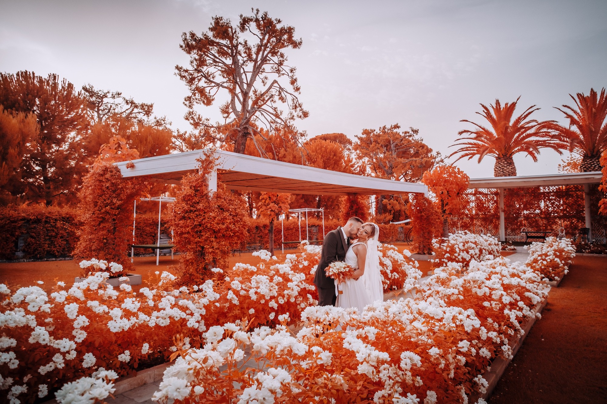 Scatto infrared sposi presso Villa Carafa Scatto fotografico degli sposi presso Villa Carafa, con tecnica infrarosso cromatico di Pino Coduti