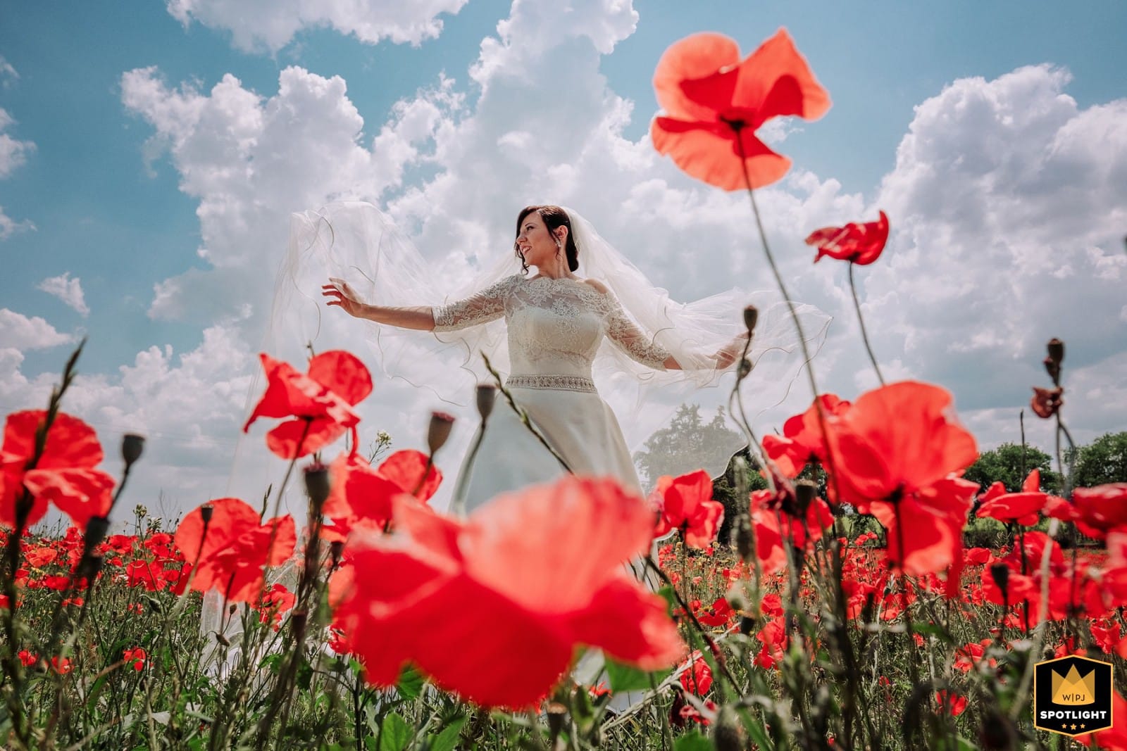 Foto di Pino Coduti sposa in un campo di papaveri con cui ha vinto il premio Top Wedding Photographer