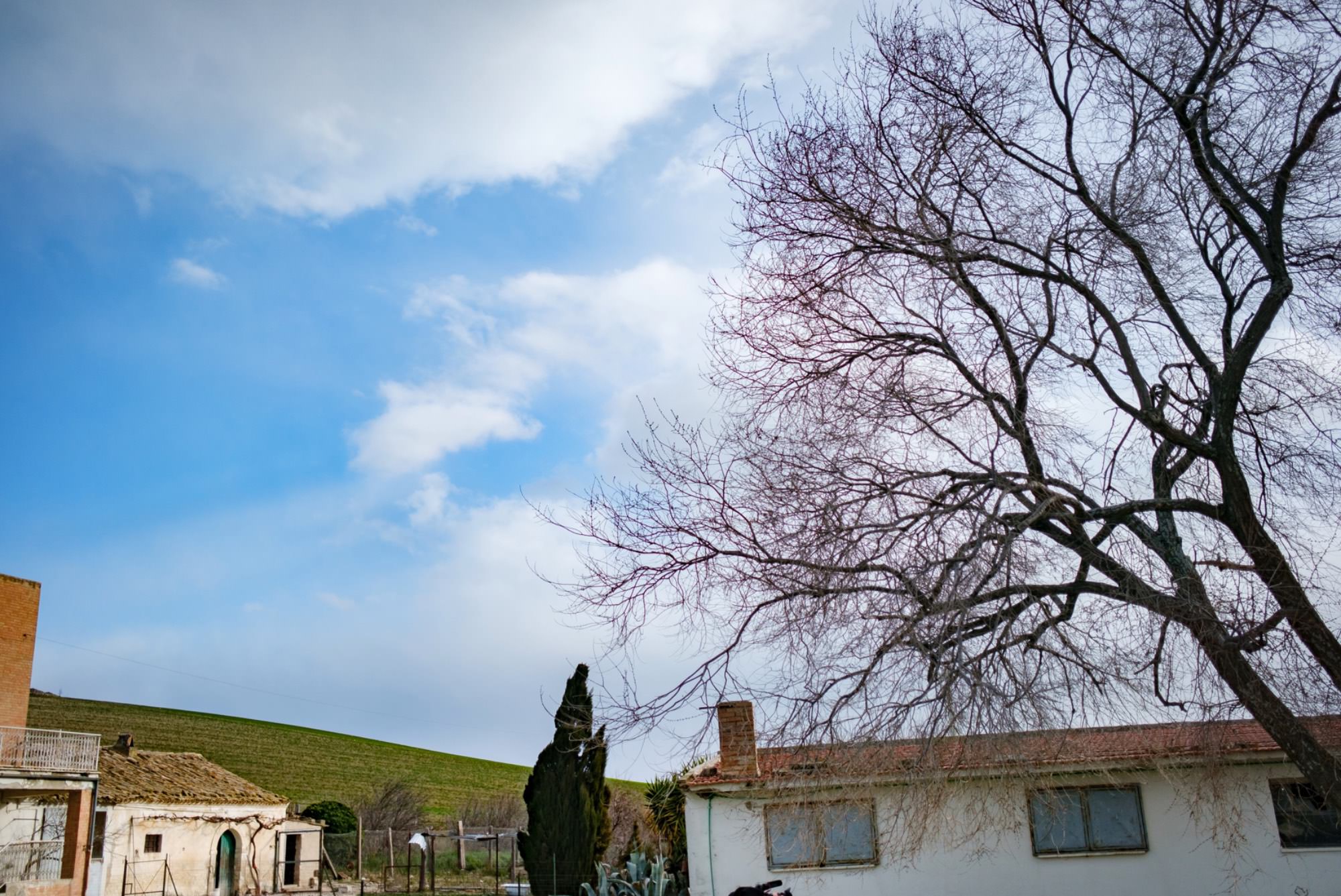 Fotografo di matrimonio a Lucera
