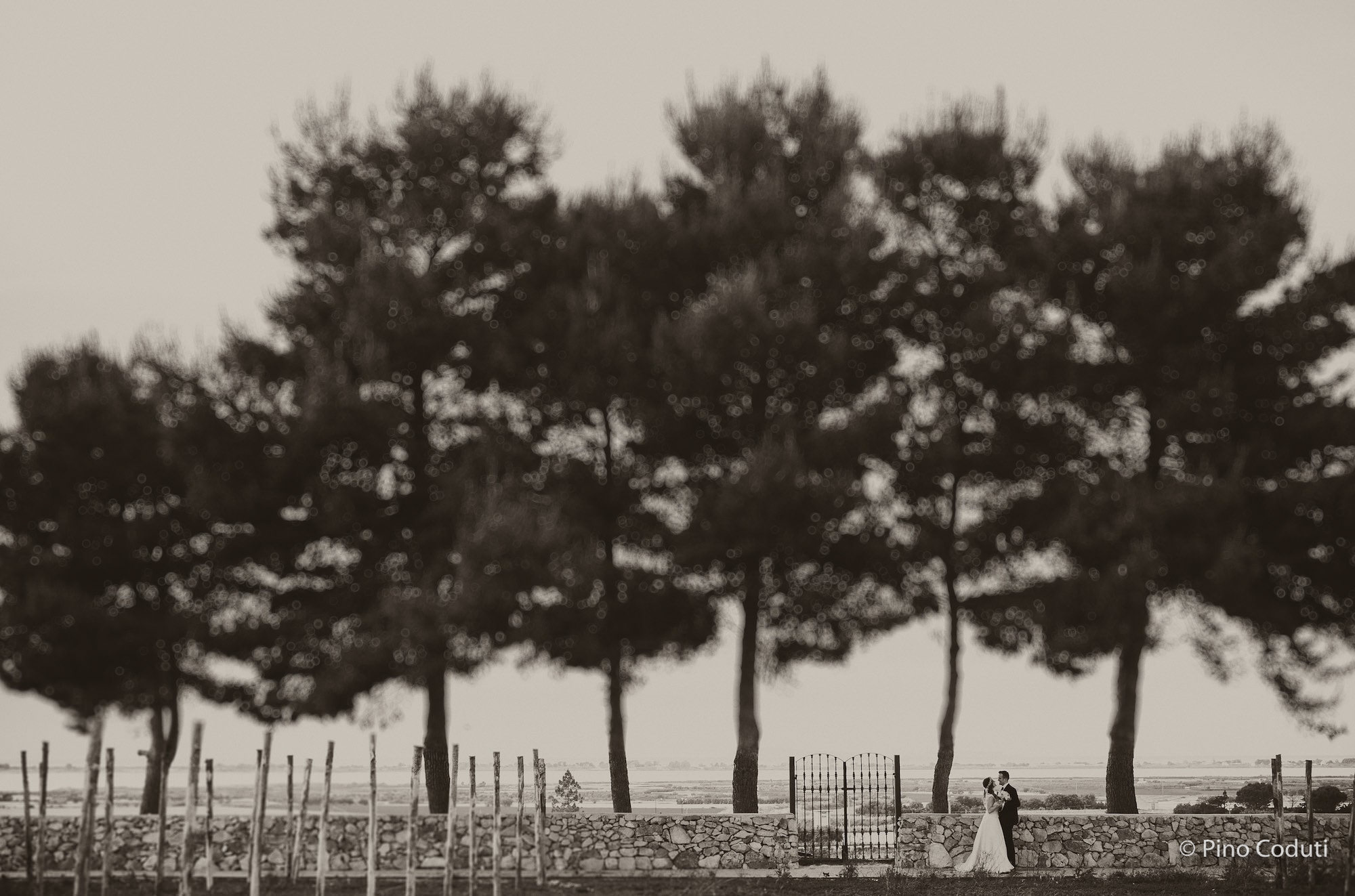 sposi con matrimonio vista isole tremiti