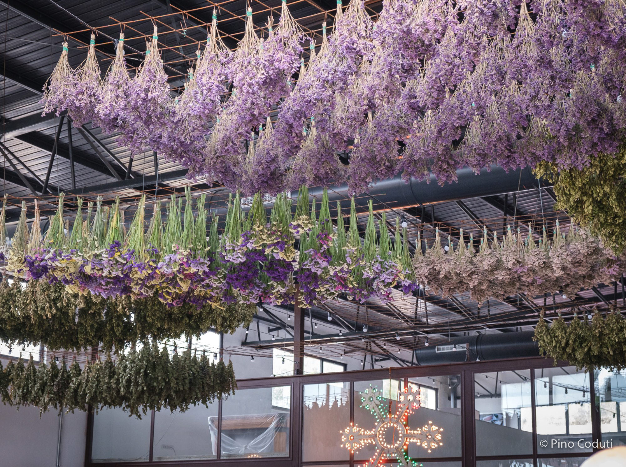 Masseria Don Nunzio e Cavallo