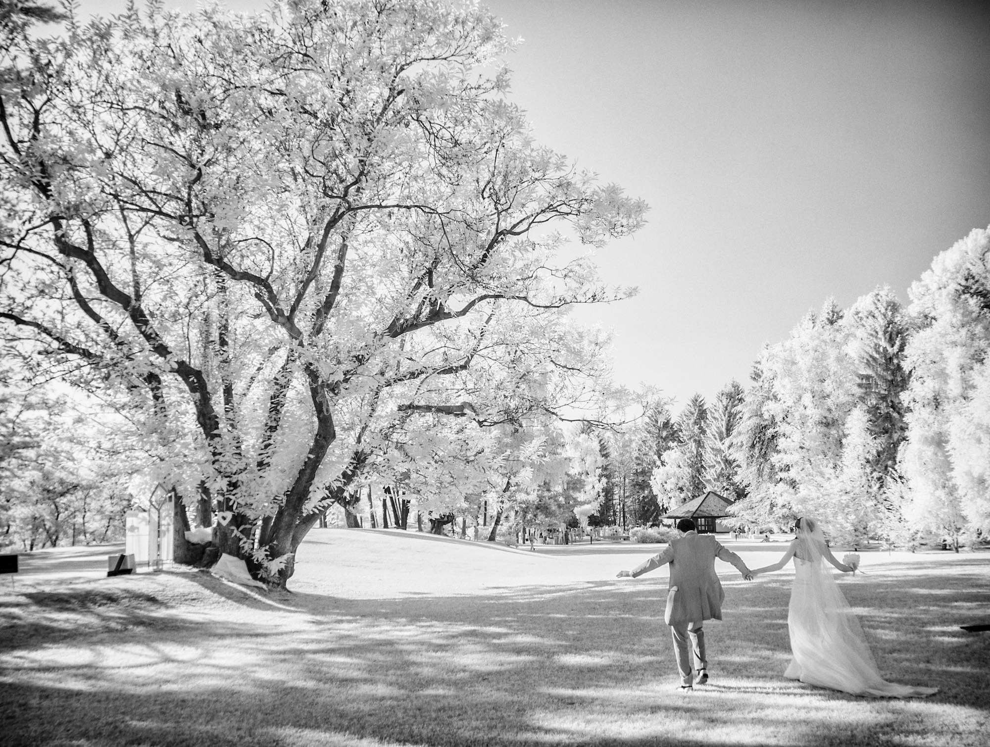 Matrimonio sul Lago Maggiore