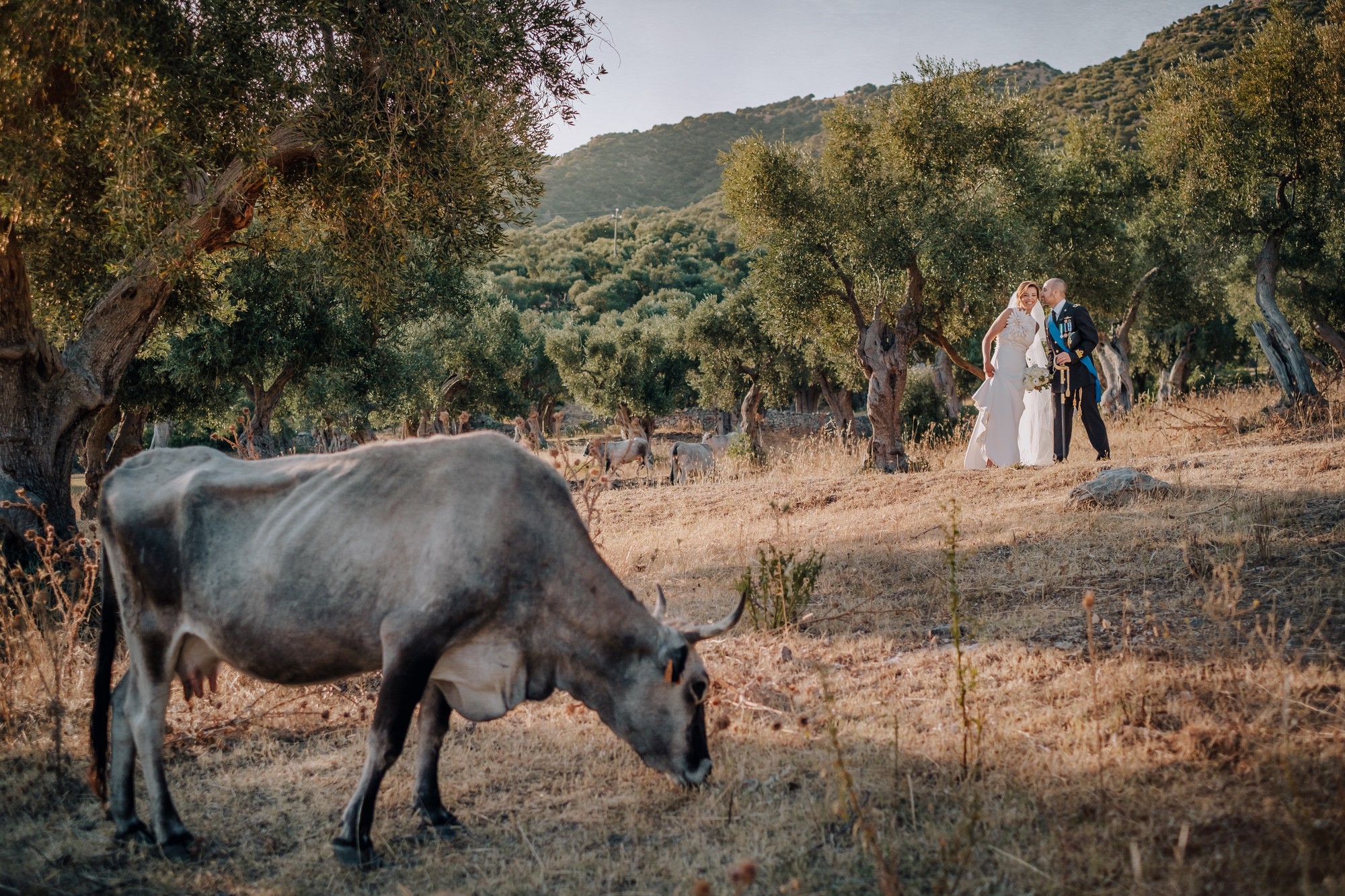 Sposi tra gli ulivi del Gargano