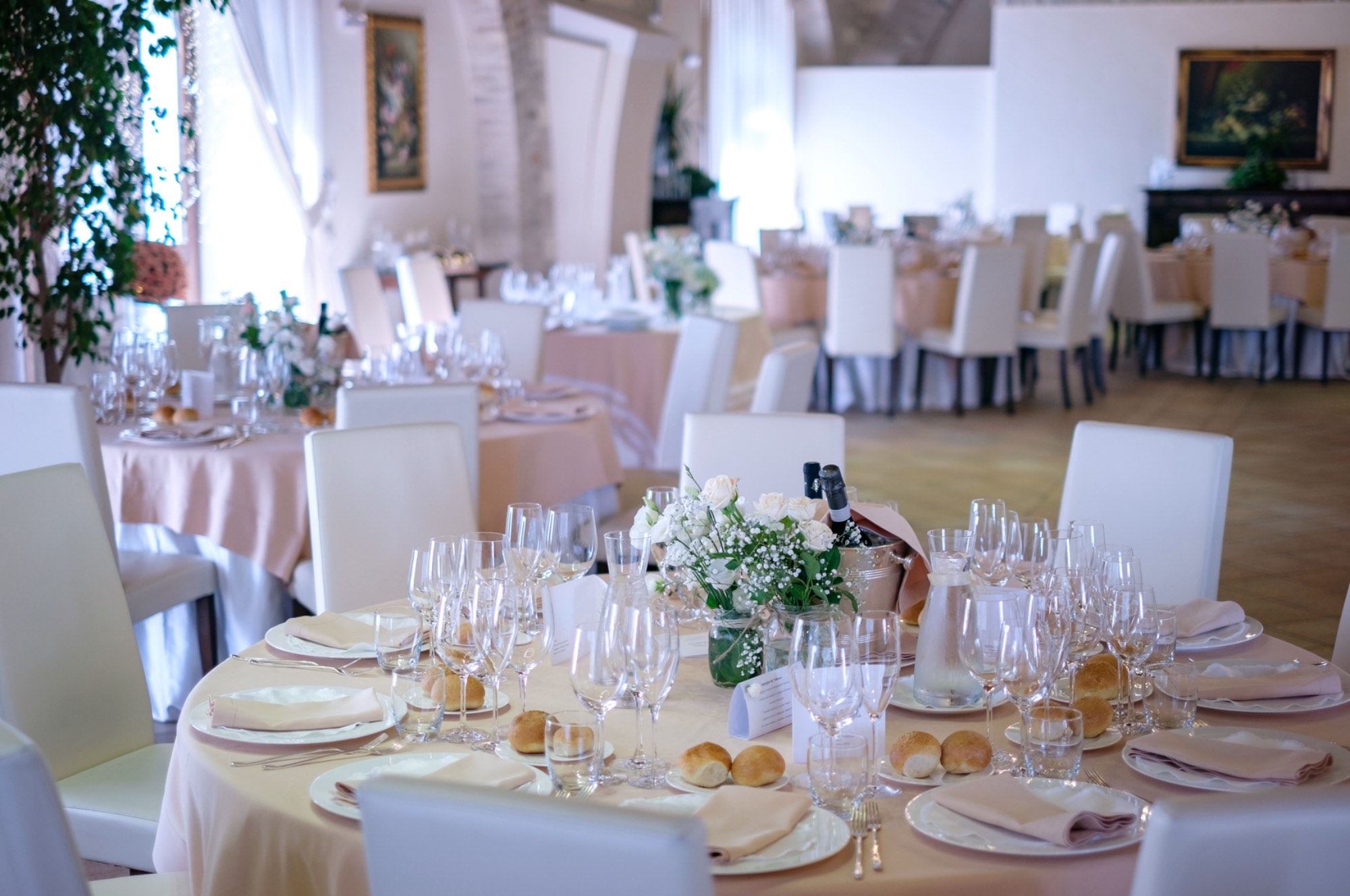 Fotografie a Masseria Pietrafitta