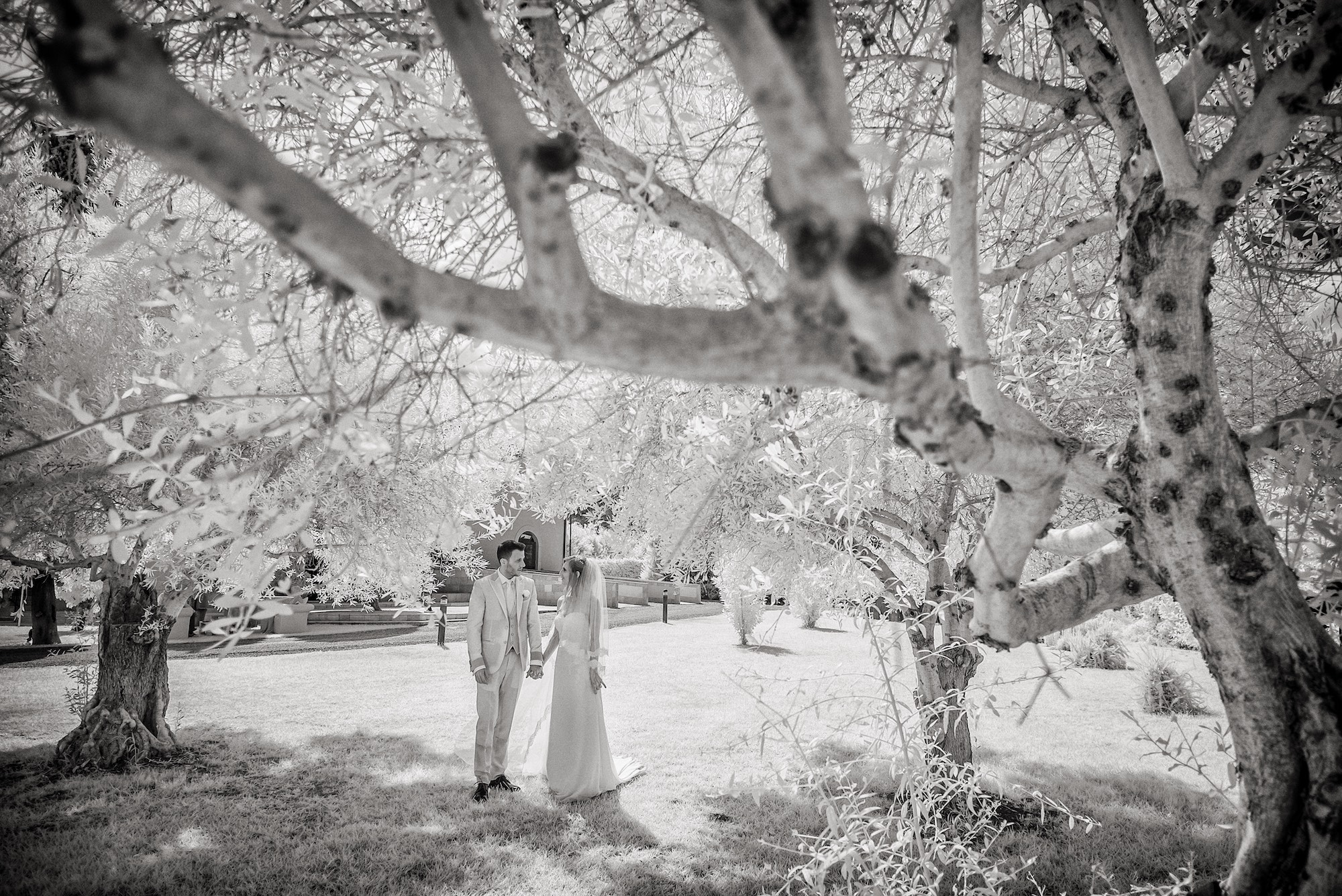 Fotografie a Masseria Pietrafitta