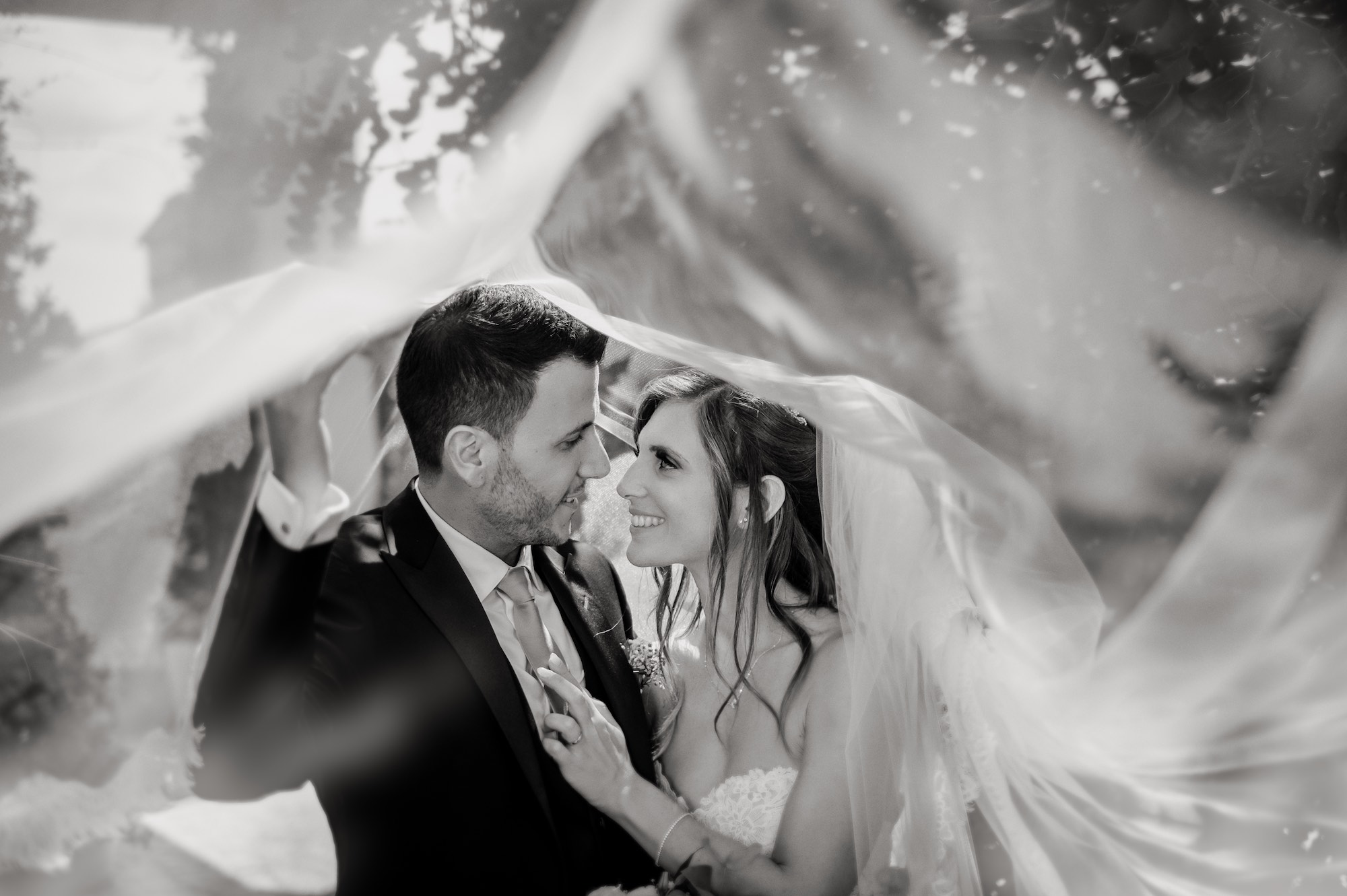 Fotografie a Masseria Pietrafitta