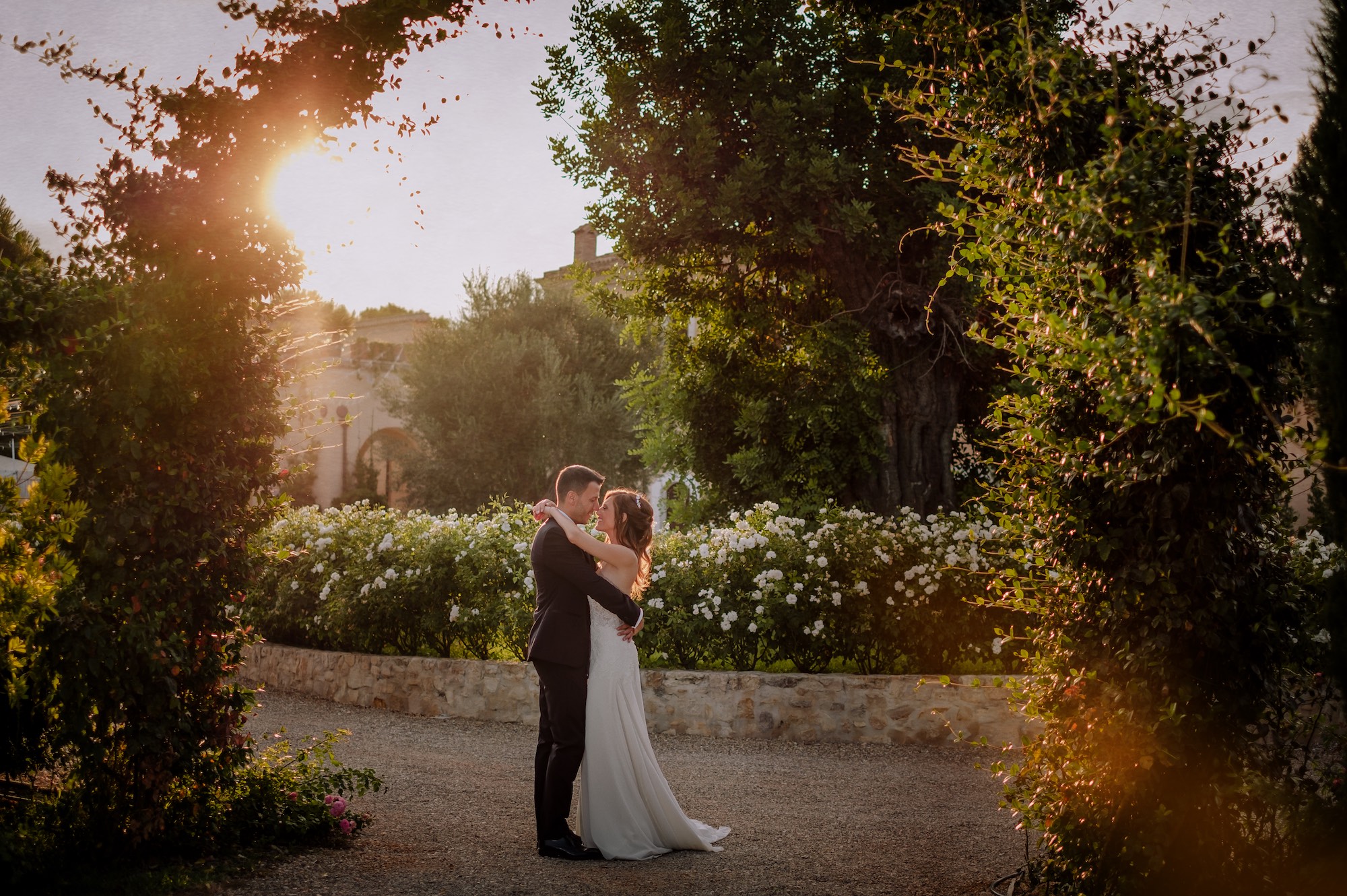 Fotografie a Masseria Pietrafitta