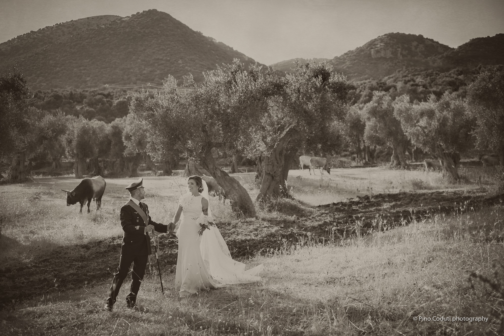matrimonio con ulivi e paesaggio del Gargano