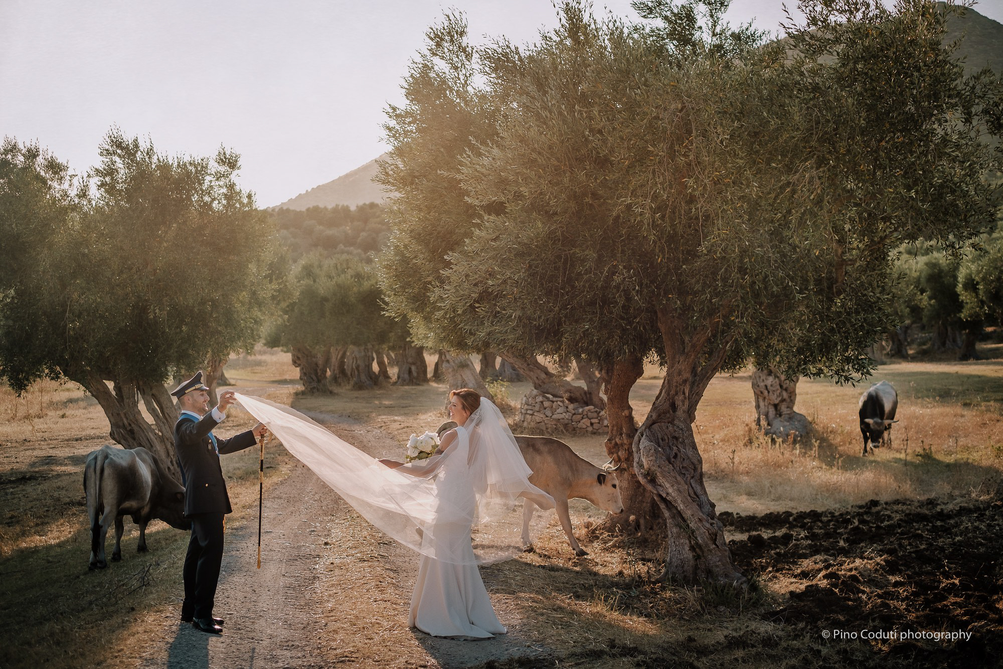 matrimonio con ulivi e paesaggio del Gargano