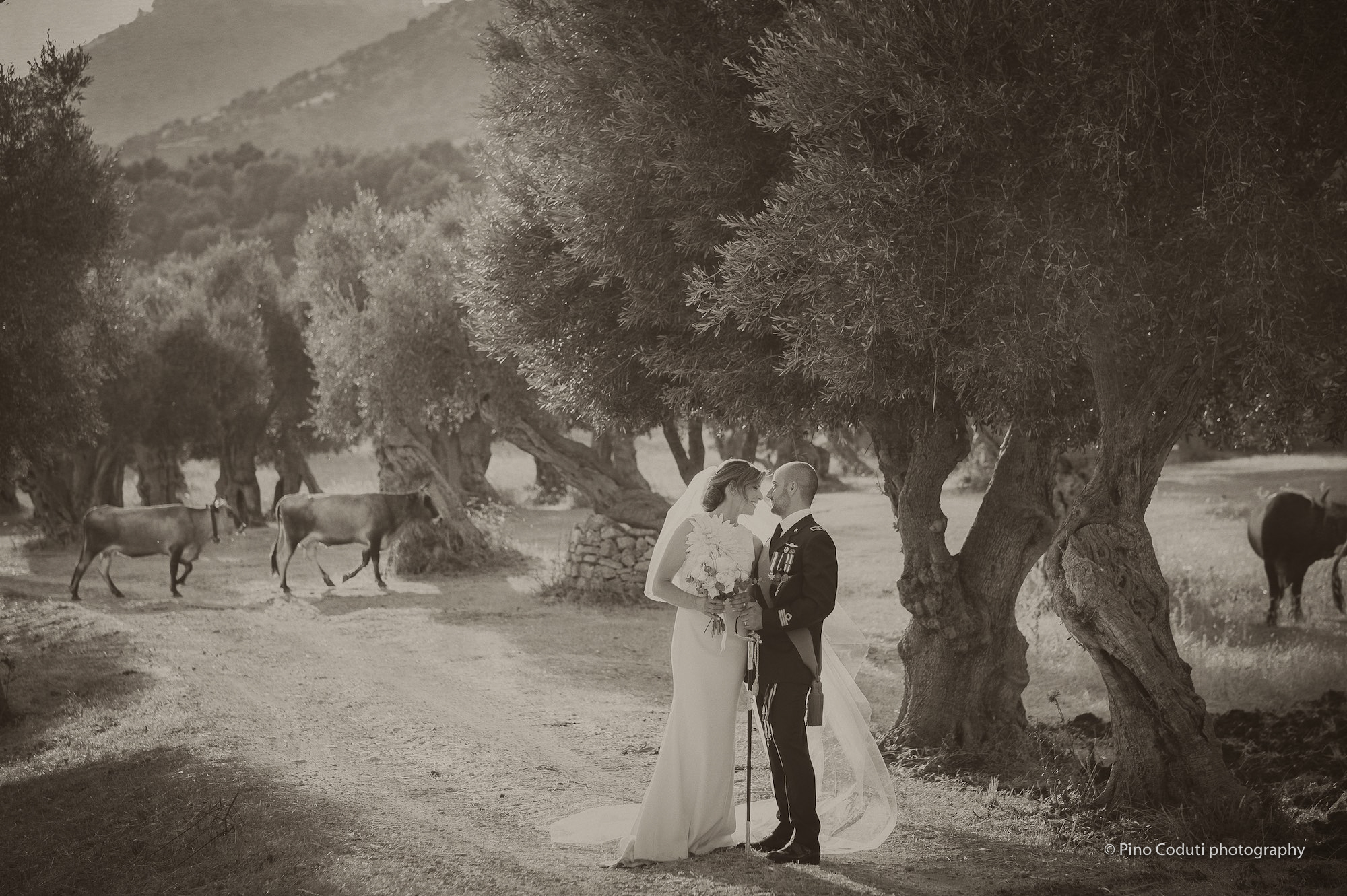 matrimonio con ulivi e paesaggio del Gargano