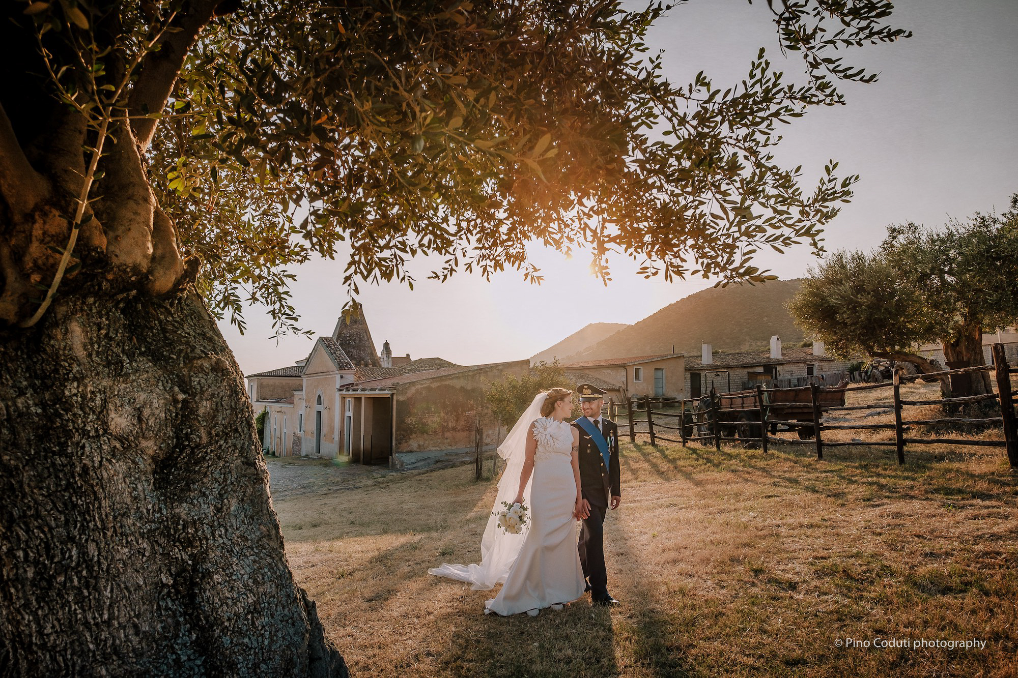 matrimonio con ulivi e paesaggio del Gargano