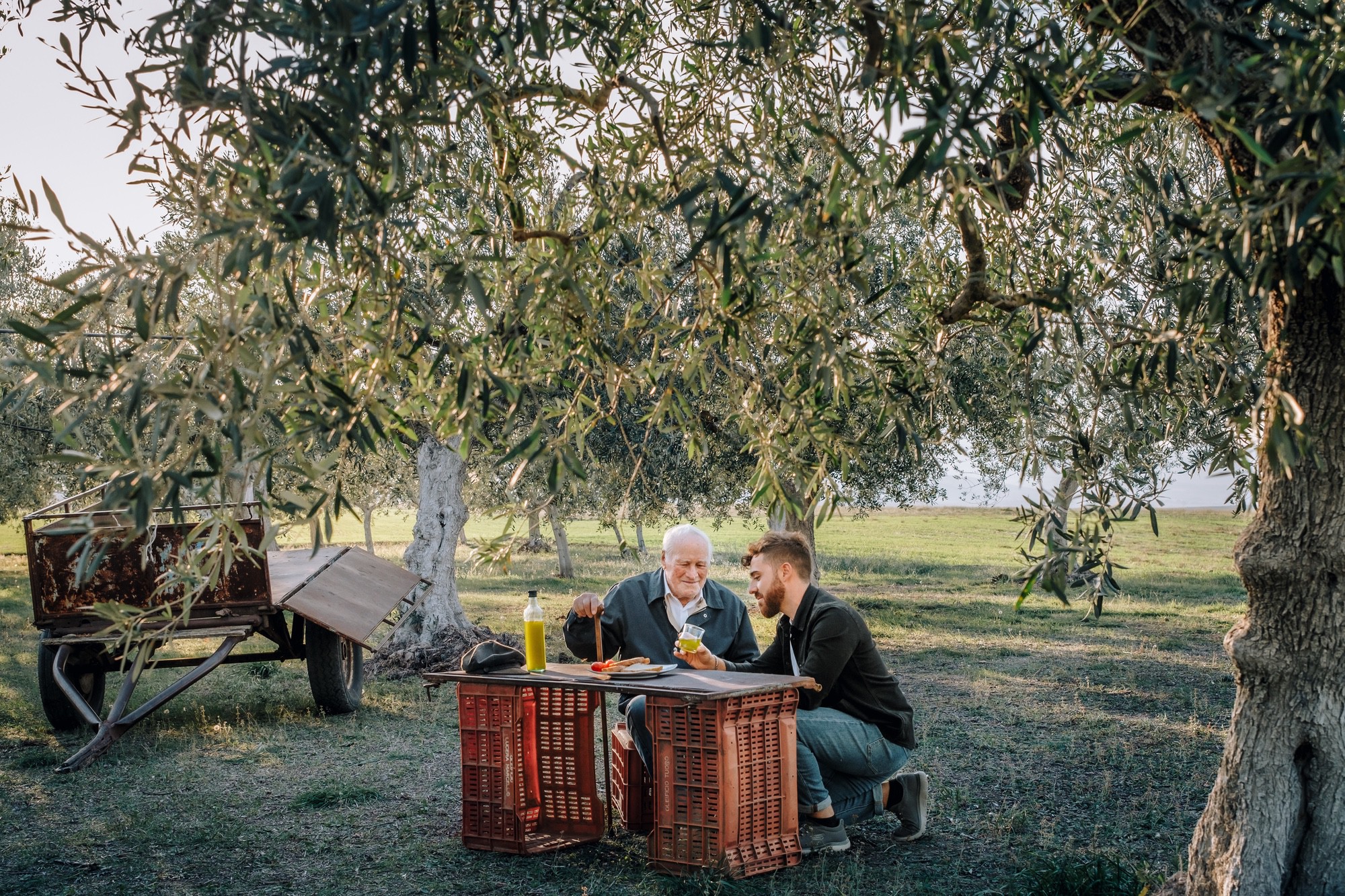 Fotoritratto produttori di olio Scatto fotografico professionale che ritrae due generazioni di produttori di olio di oliva pugliese