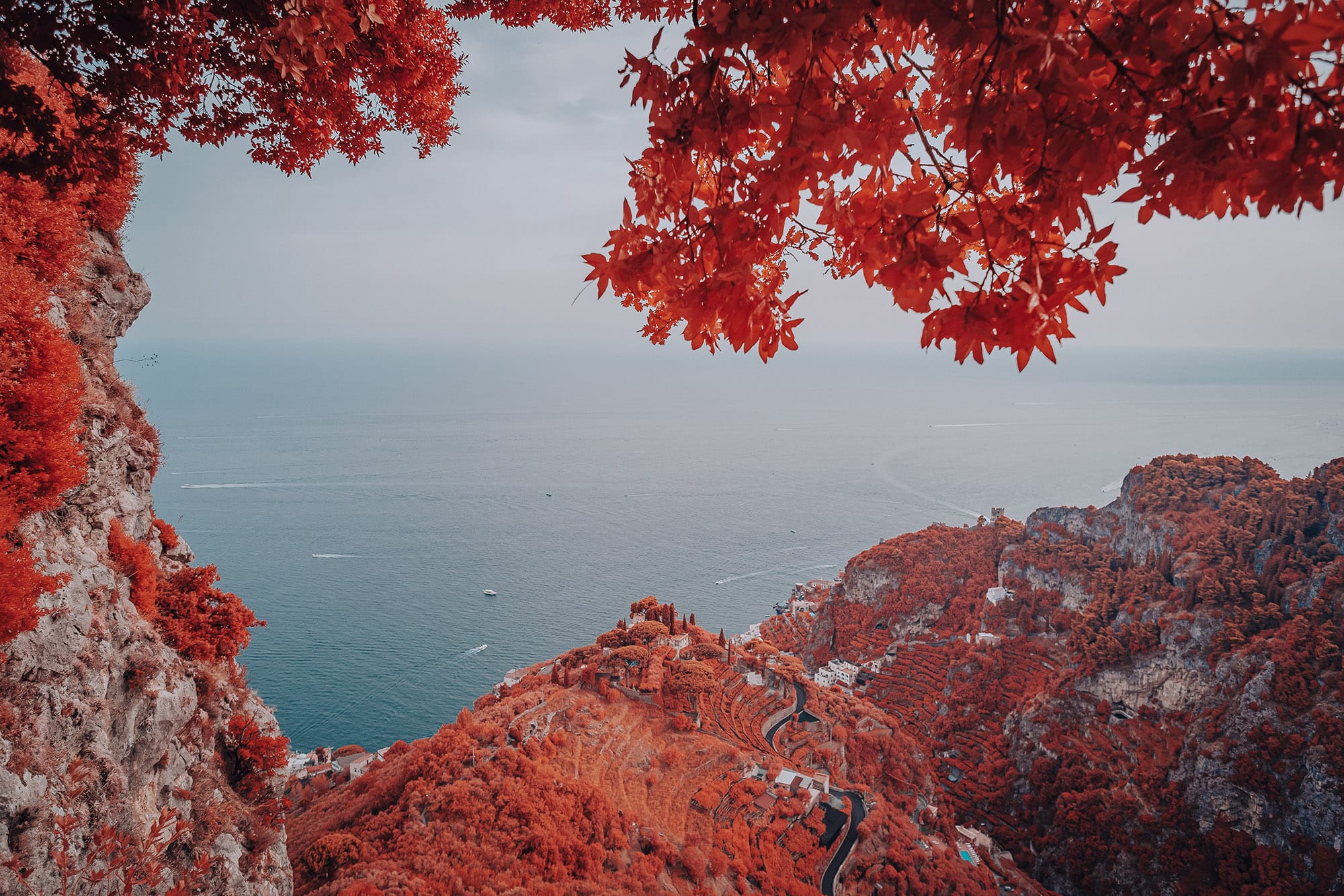 Fotografia infrarosso cromatico paesaggio artistico