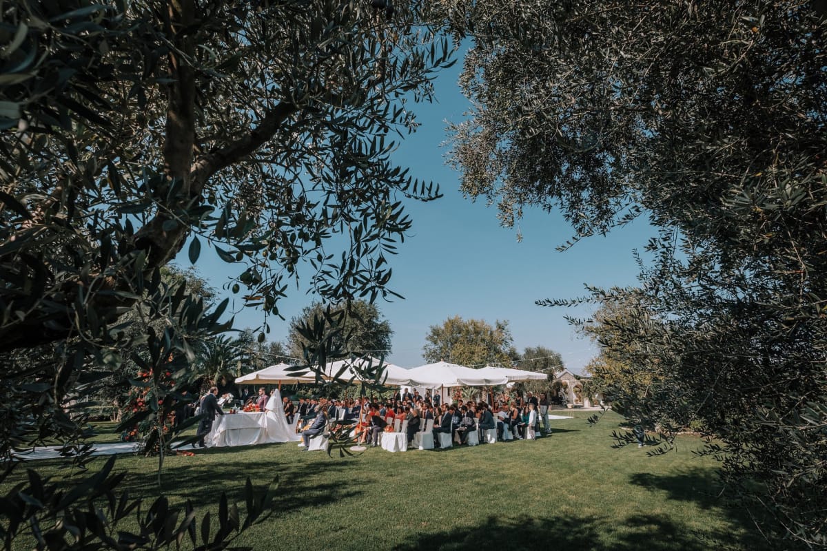 Panoramica di matrimonio civile all'aperto su un prato che si intravede tra rami di ulivo.