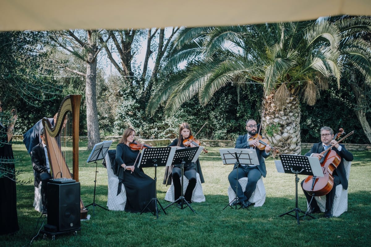 Musicanti all'aperto su prato con alberi in sfondo.